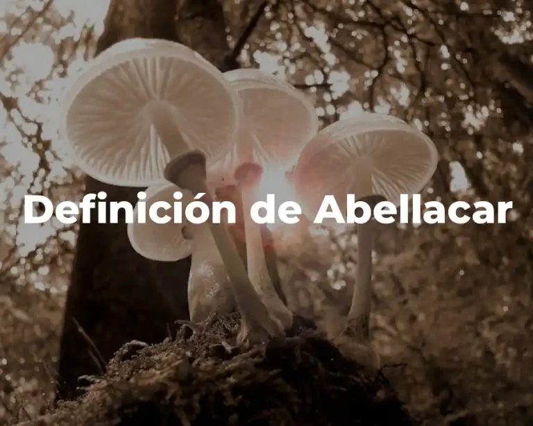 Definición de Abellacar