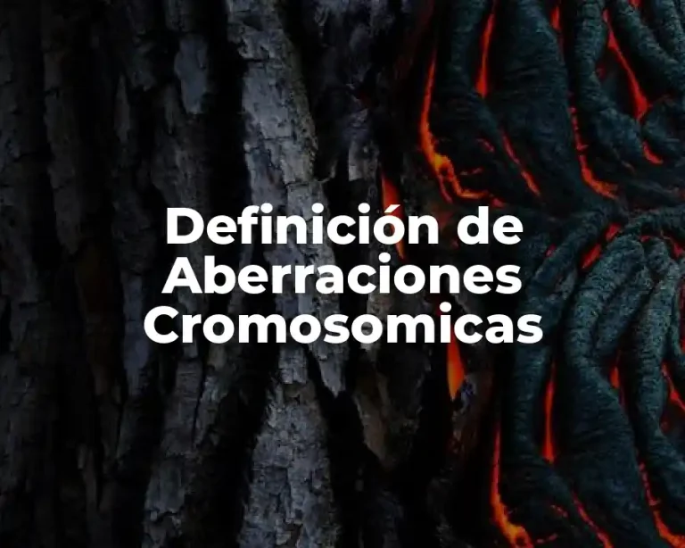 Definición de Aberraciones Cromosomicas