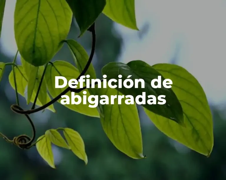 Definición de abigarradas