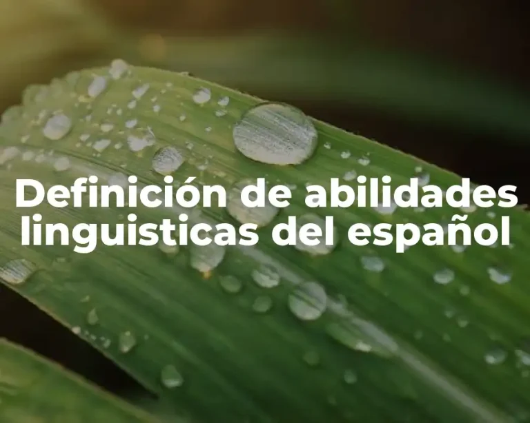 Definición de abilidades linguisticas del español