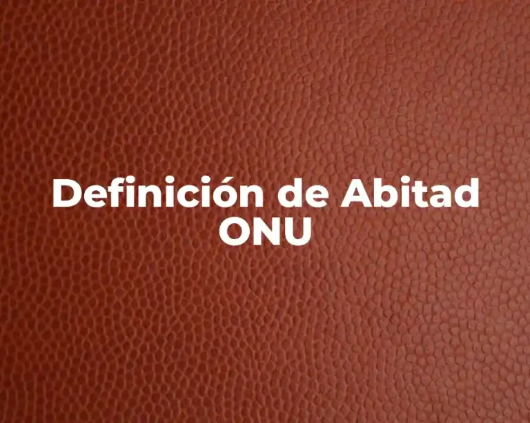 Definición de Abitad ONU