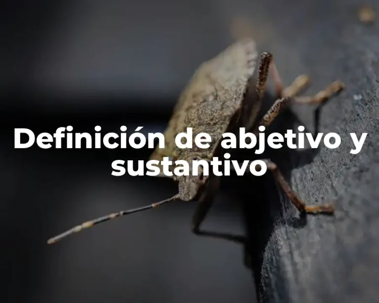 Definición de abjetivo y sustantivo