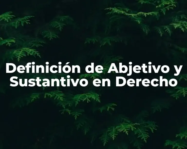 Definición de Abjetivo y Sustantivo en Derecho