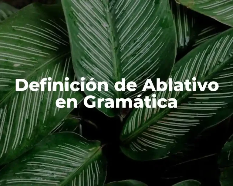 Definición de Ablativo en Gramática