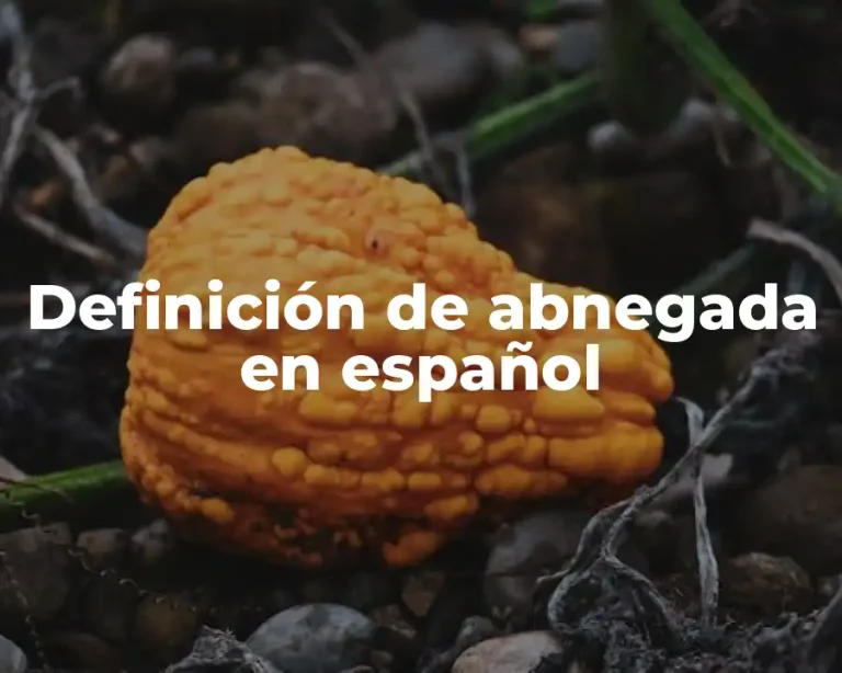Definición de abnegada en español