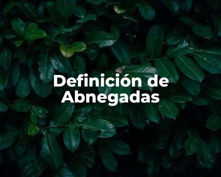 Definición de Abnegadas