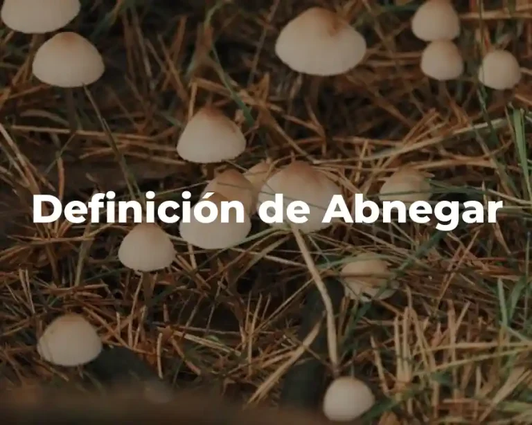 Definición de Abnegar