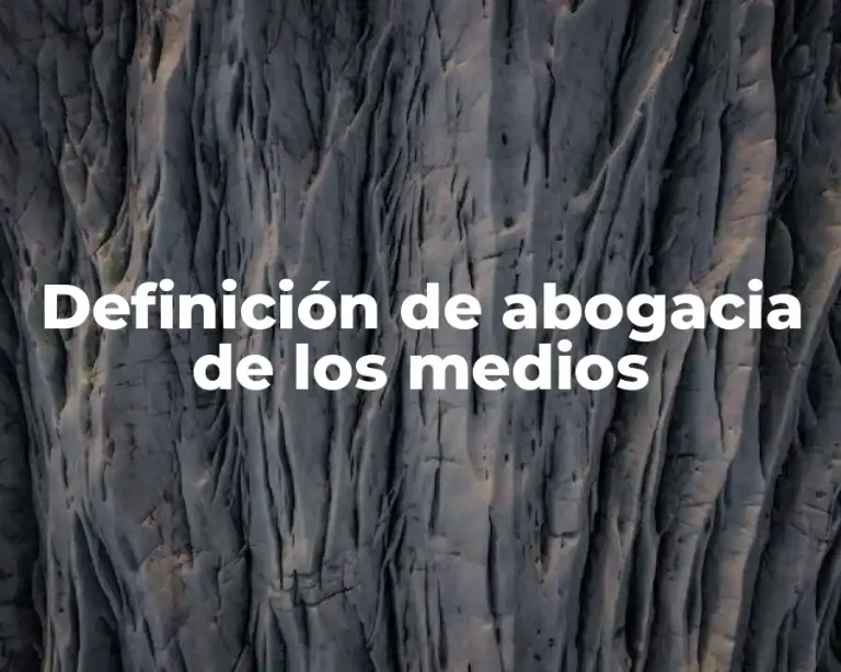 Definición de abogacia de los medios