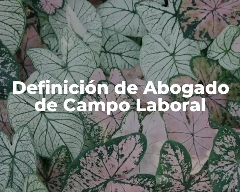 Definición de Abogado de Campo Laboral