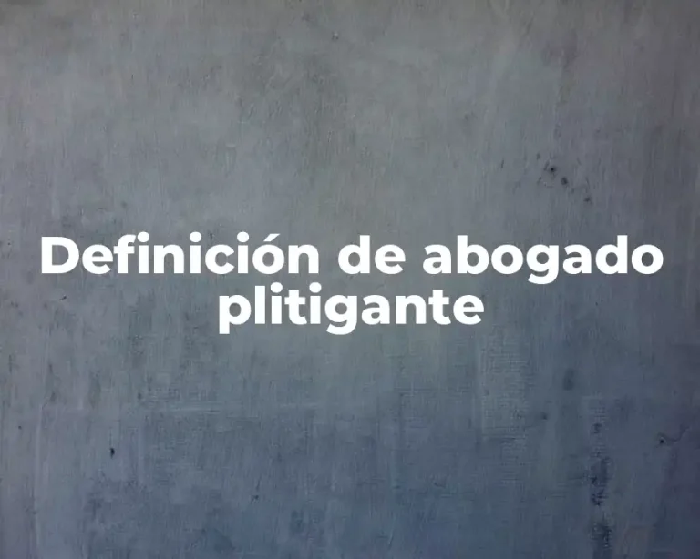 Definición de abogado plitigante