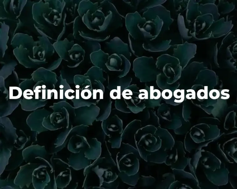 Definición de abogados