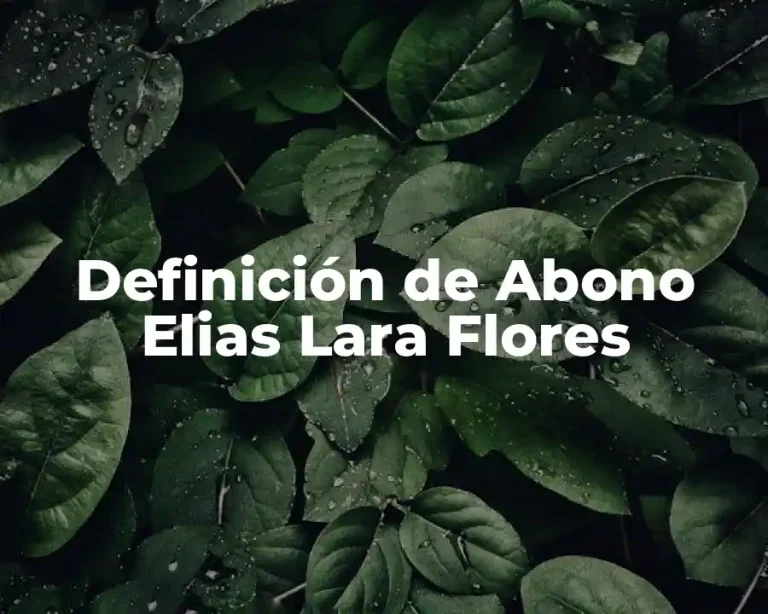 Definición de Abono Elias Lara Flores