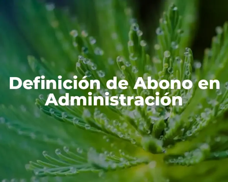 Definición de Abono en Administración