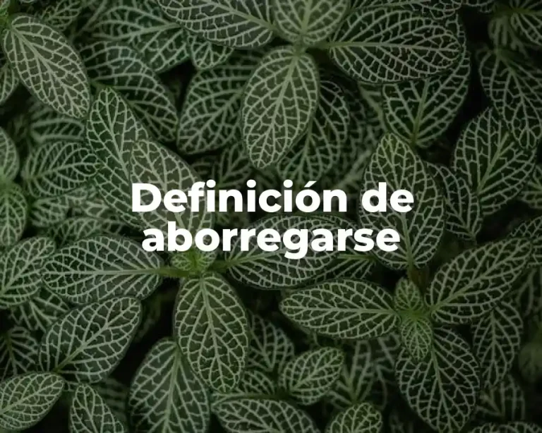 Definición de aborregarse