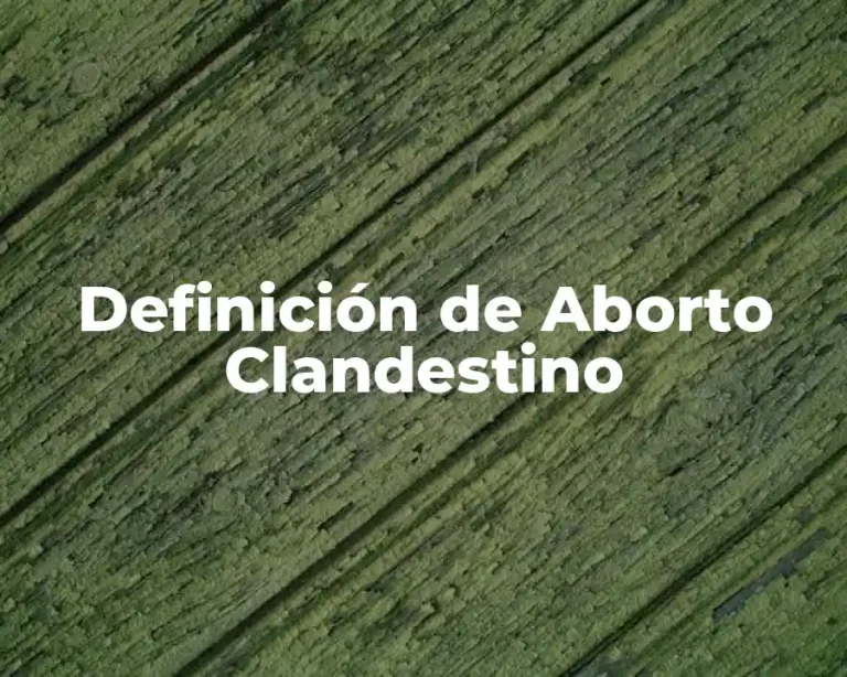 Definición de Aborto Clandestino