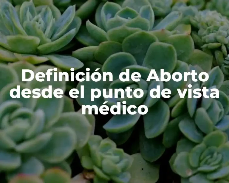 Definición de Aborto desde el punto de vista médico