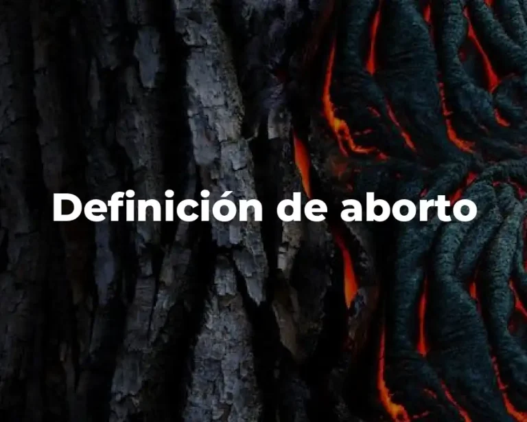 Definición de aborto