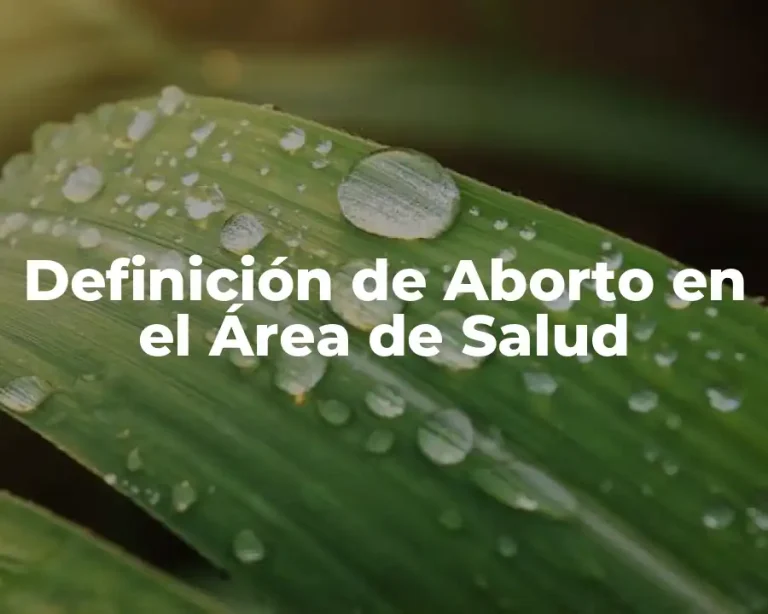 Definición de Aborto en el Área de Salud