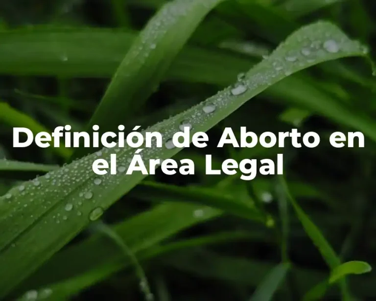 Definición de Aborto en el Área Legal