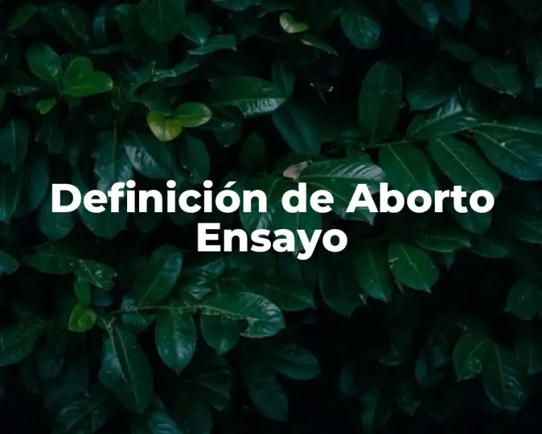Definición de Aborto Ensayo