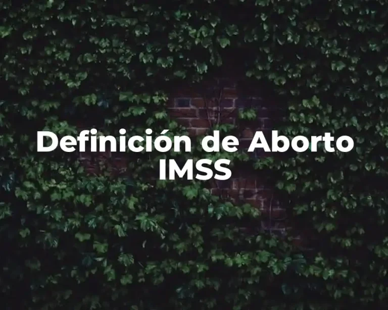 Definición de Aborto IMSS