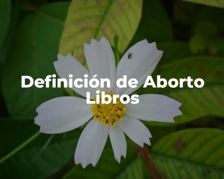 Definición de Aborto Libros
