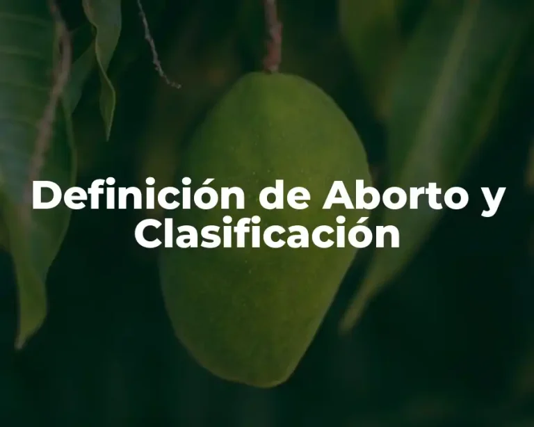 Definición de Aborto y Clasificación