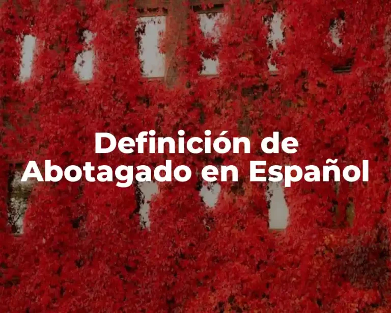 Definición de Abotagado en Español