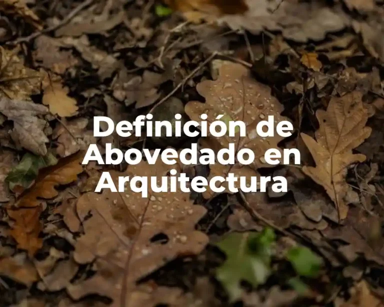 Definición de Abovedado en Arquitectura