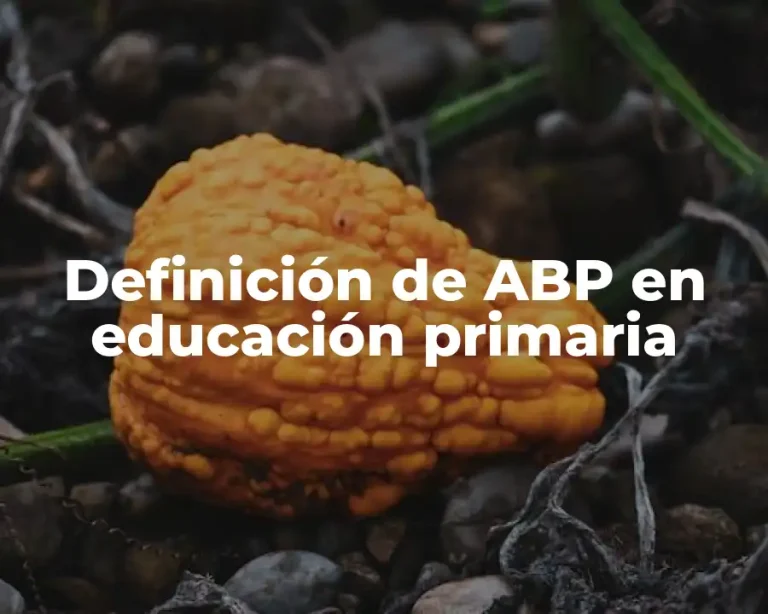 Definición de ABP en educación primaria