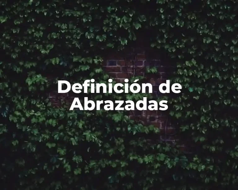 Definición de Abrazadas