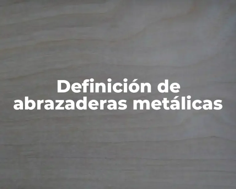 Definición de abrazaderas metálicas