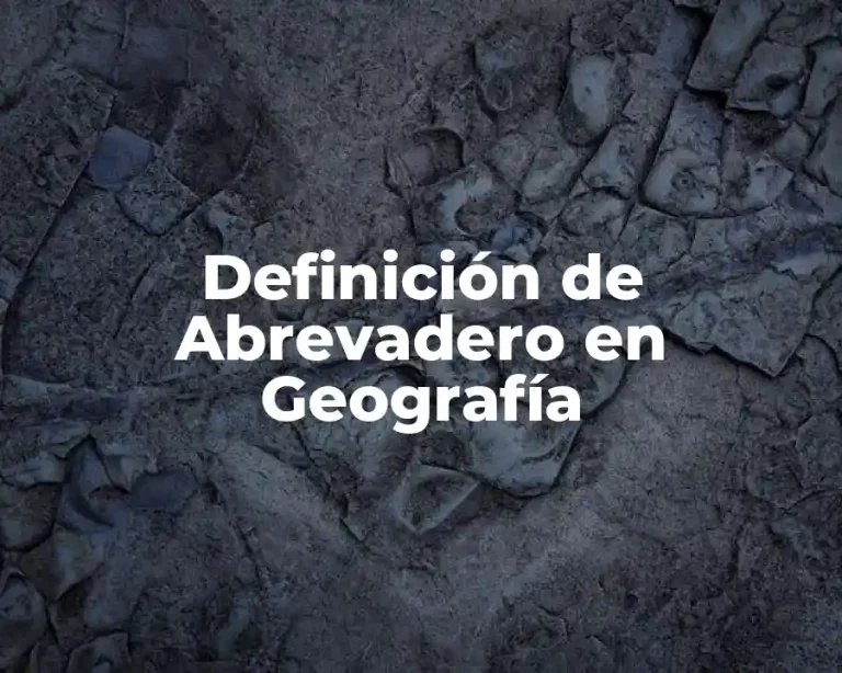 Definición de Abrevadero en Geografía