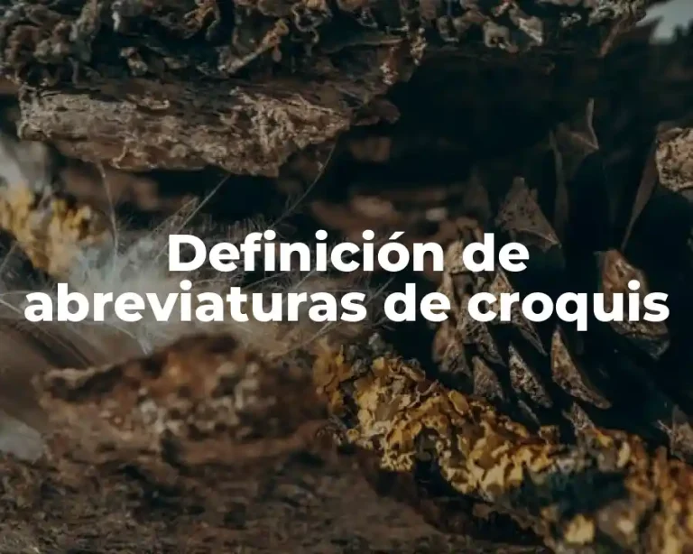 Definición de abreviaturas de croquis