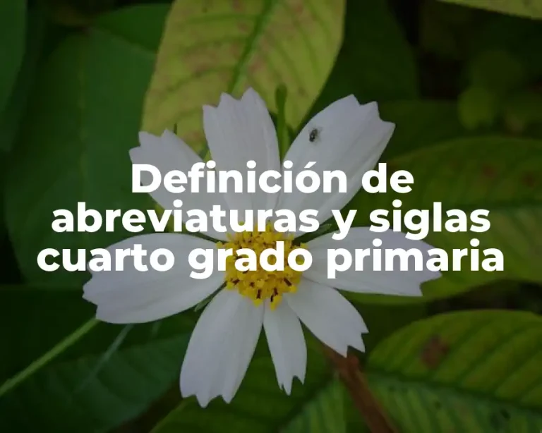 Definición de abreviaturas y siglas cuarto grado primaria