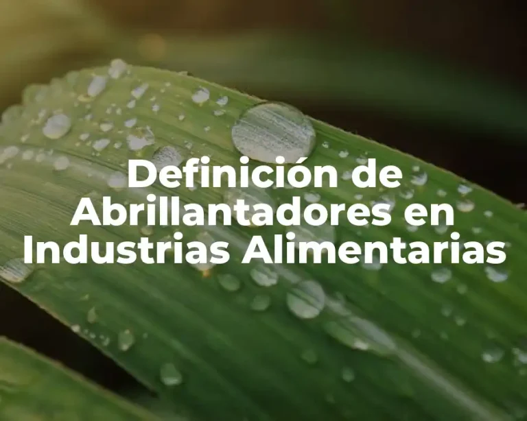 Definición de Abrillantadores en Industrias Alimentarias