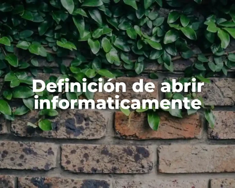 Definición de abrir informaticamente