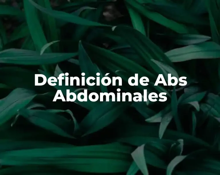 Definición de Abs Abdominales