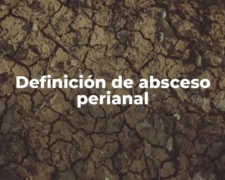Definición de absceso perianal