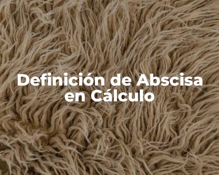 Definición de Abscisa en Cálculo