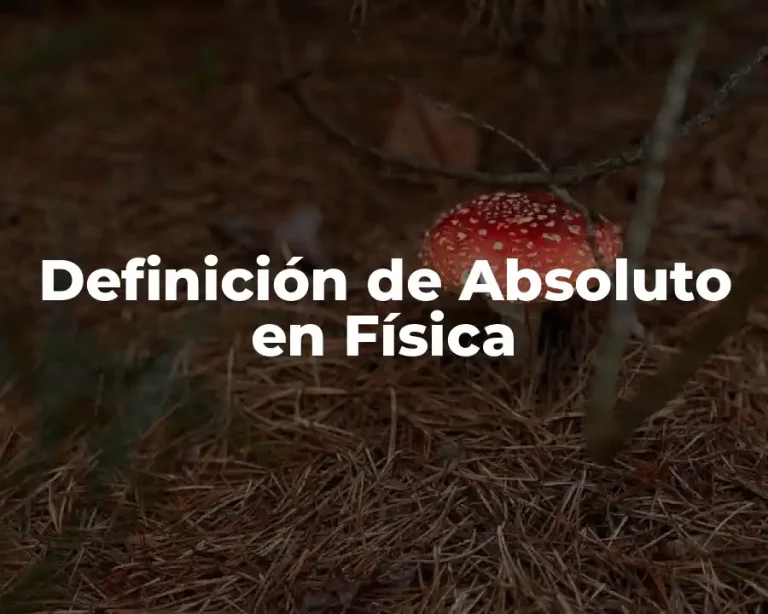 Definición de Absoluto en Física