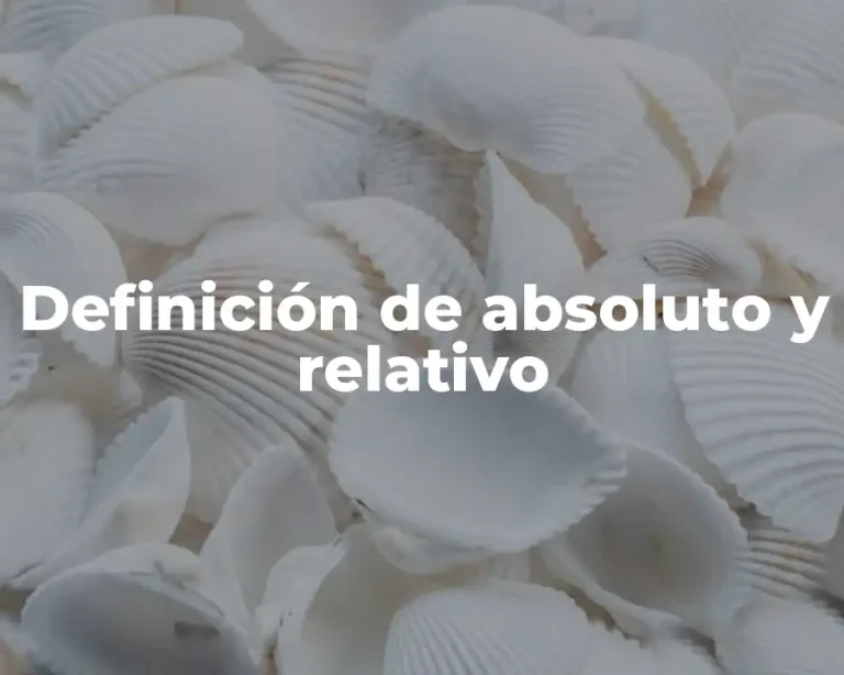 Definición de absoluto y relativo