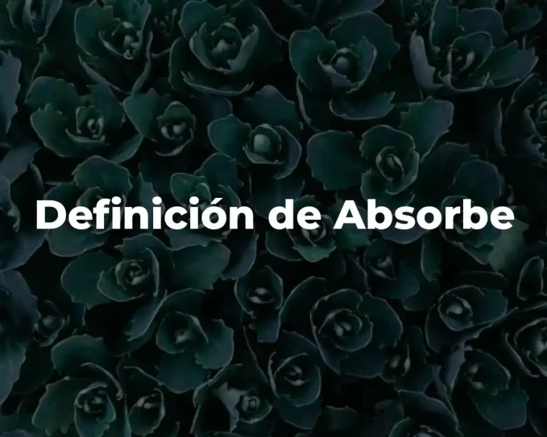Definición de Absorbe