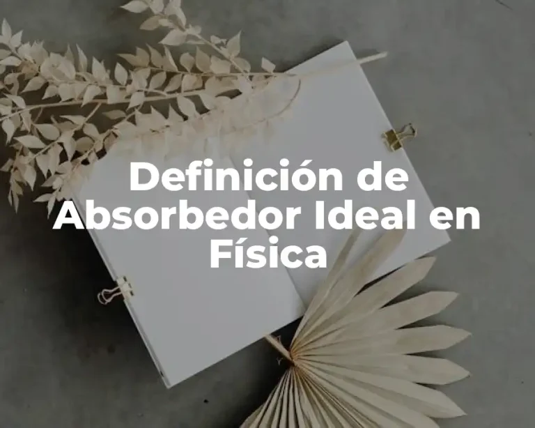 Definición de Absorbedor Ideal en Física