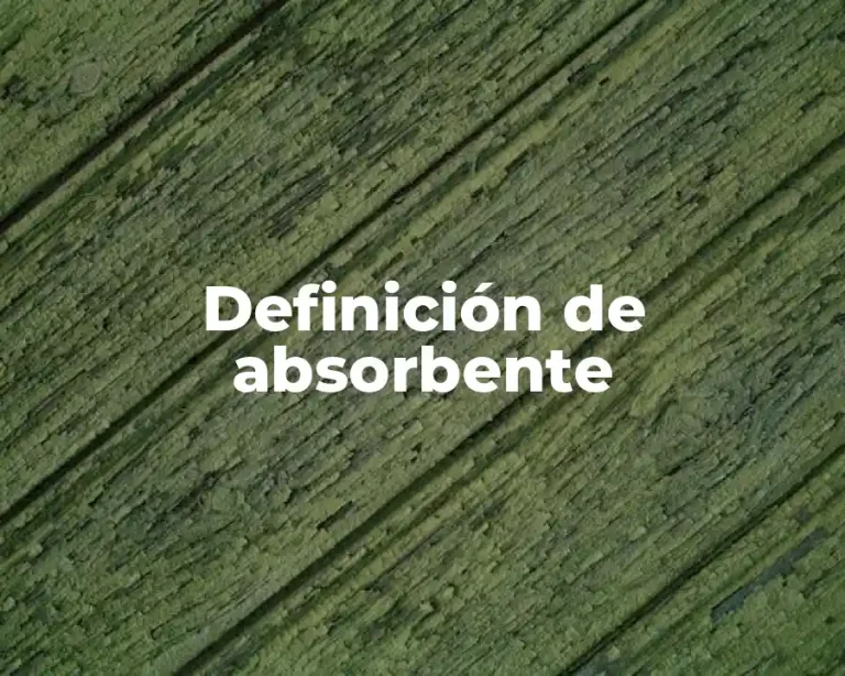 Definición de absorbente