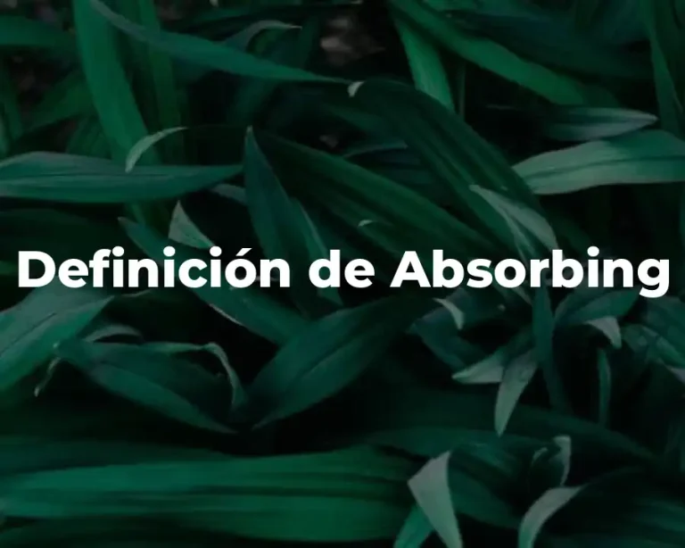 Definición de Absorbing