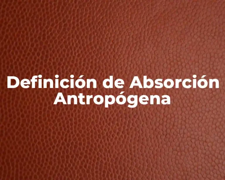 Definición de Absorción Antropógena