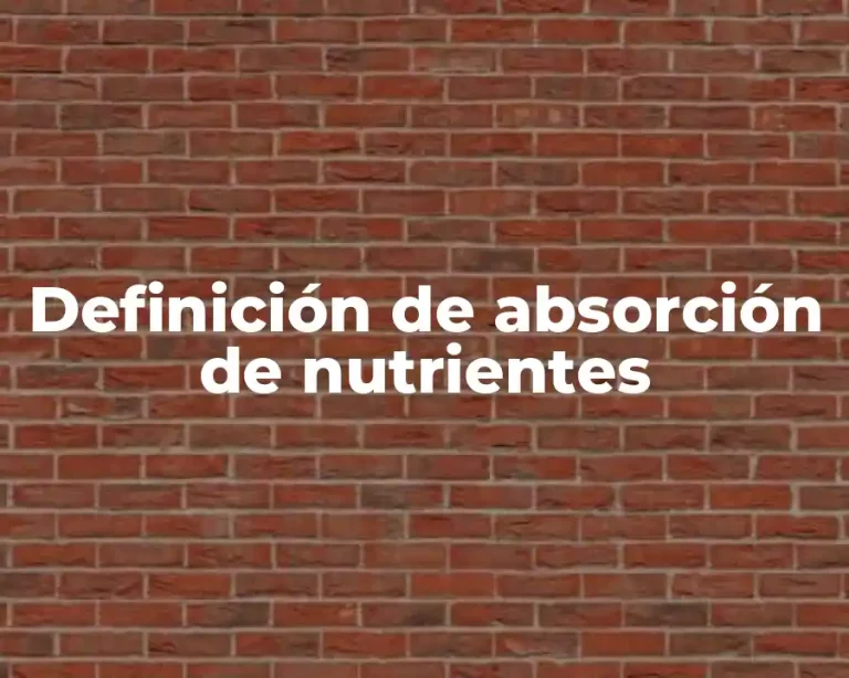 Definición de absorción de nutrientes