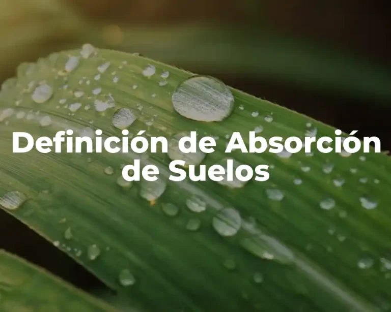 Definición de Absorción de Suelos