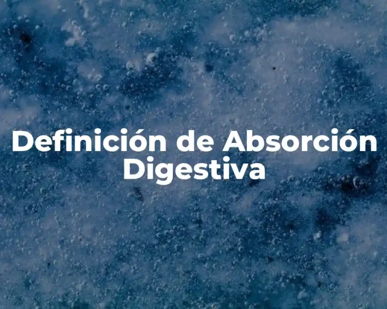 Definición de Absorción Digestiva